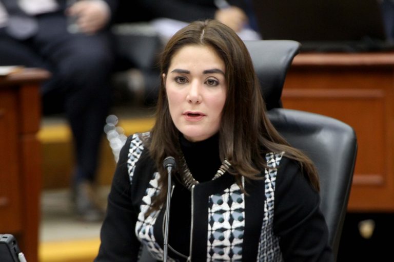 Dania Ravel Cuevas, Consejera Electoral.