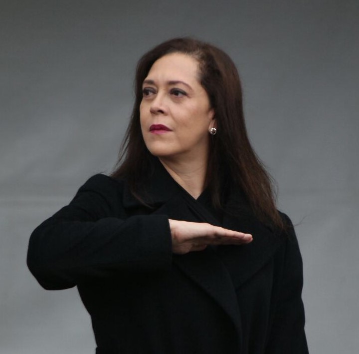 Adriana Favela Herrera, Consejera Electoral.