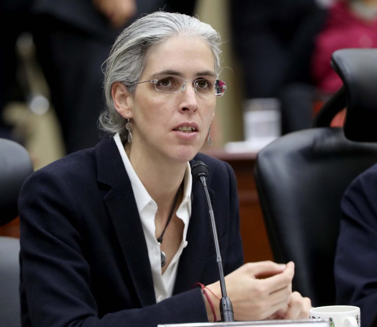 Pamela San Martín Ríos y Valles , Consejera Electoral.