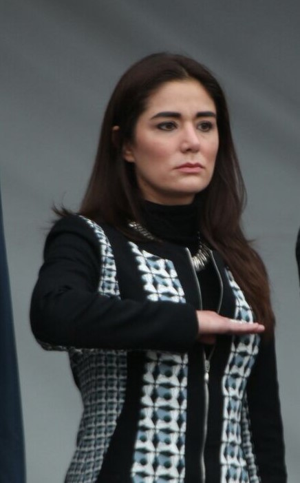 Dania Ravel Cuevas, Consejera Electoral.