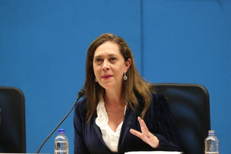 Adriana Favela Herrera, Consejera Electoral.