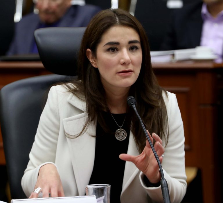 Dania Ravel Cuevas, Consejera Electoral.