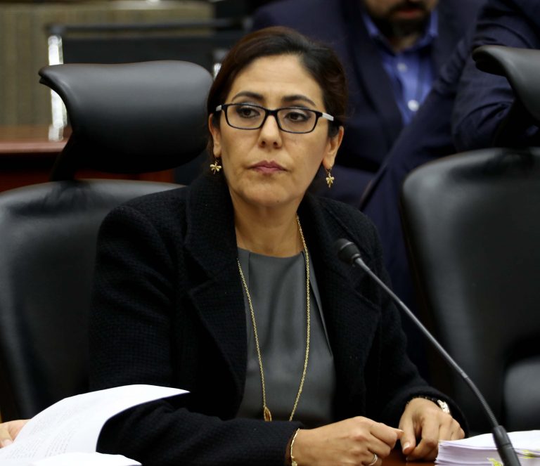 Claudia Zavala Pérez, Consejera Electoral.