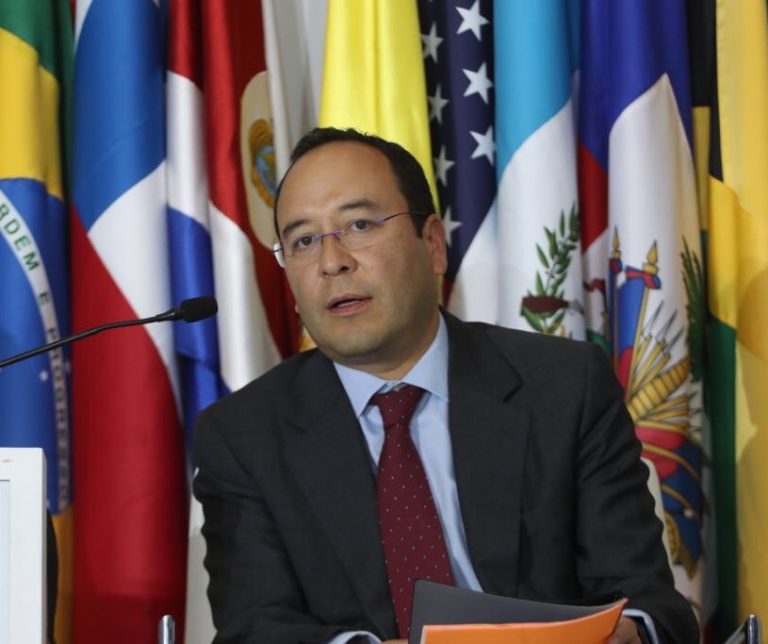 Ciro Murayama Rendón, Consejero Electoral del INE.