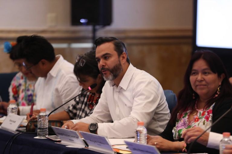 Roberto Heycher Cardiel Soto, Director Ejecutivo de Capacitación Electoral y Educación Cívica en el Foro Diálogos sobre representación y participación política de los pueblos y comunidades indígenas.