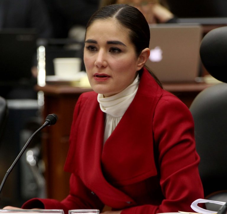 Dania Ravel Cuevas, Consejera Electoral.