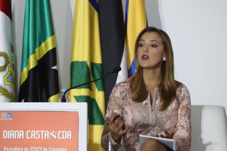 Diana Castañeda Periodista de NTN24, Colombia.