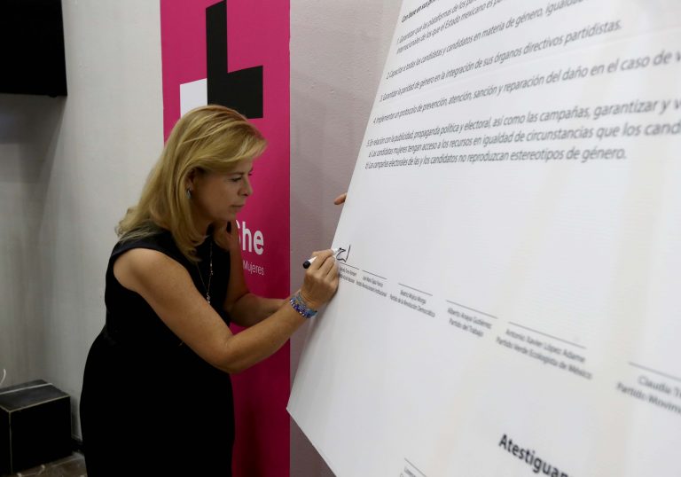 Marcela Torres Peimbert, Partido Acción Nacional (PAN).