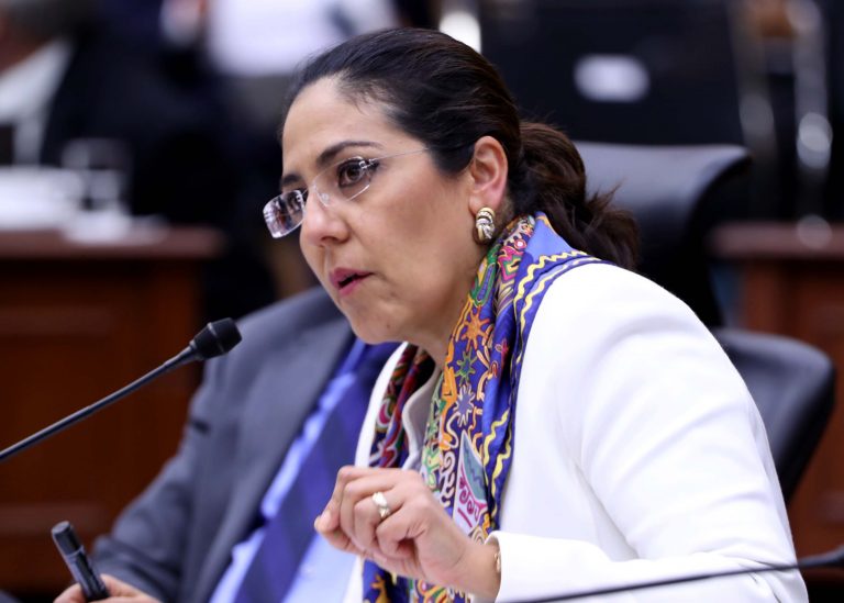 Consejera Electoral  Claudia Zavala Pérez.