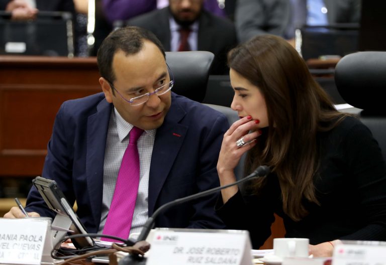 Ciro Murayama Rendón y Dania Ravel Cuevas, Consejera y Consejero Electorales.