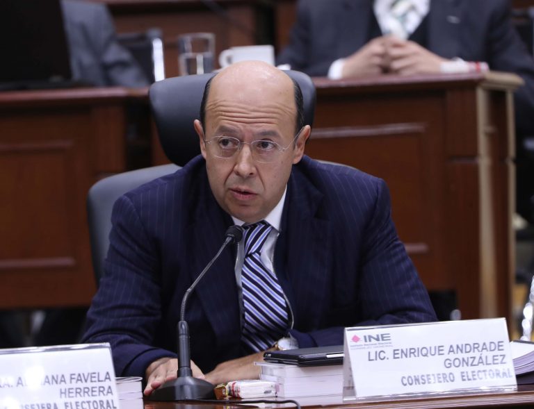 Enrique Andrade González, Consejera Electoral.