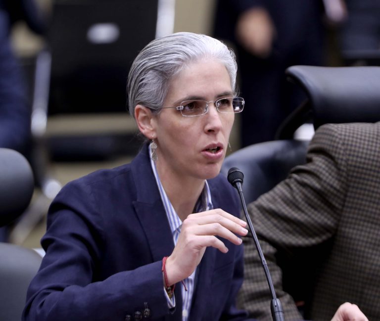 Pamela San Martín Ríos y Vallles, Consejera Electoral.