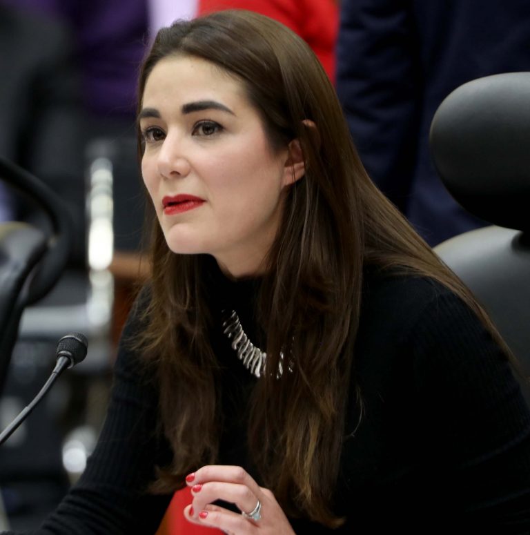 Dania Ravel cuevas, Consejera Electoral.