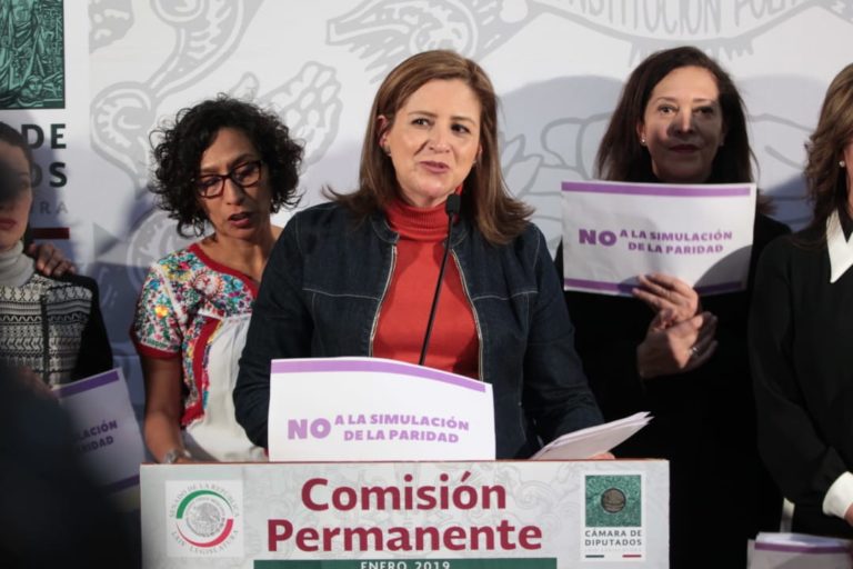 Martha Tagle Martínez, Senadora de la República.