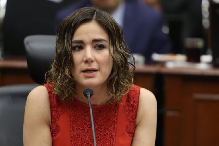 Dania Ravel Cuevas, Consejera Electoral.