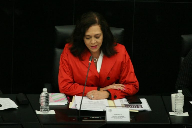 Adriana Favela Herrera, Consejera Electoral del INE.