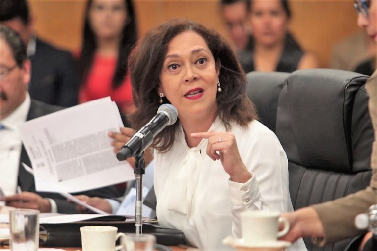 Adriana Favela Herrera, Consejera Electoral del INE.