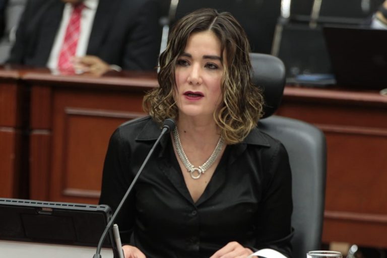 Consejera Electoral Dania Ravel.