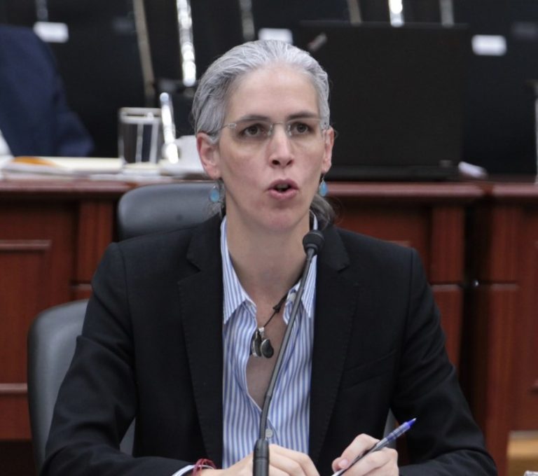 Pamela San Martín Ríos y Valles, Consejera Electoral.