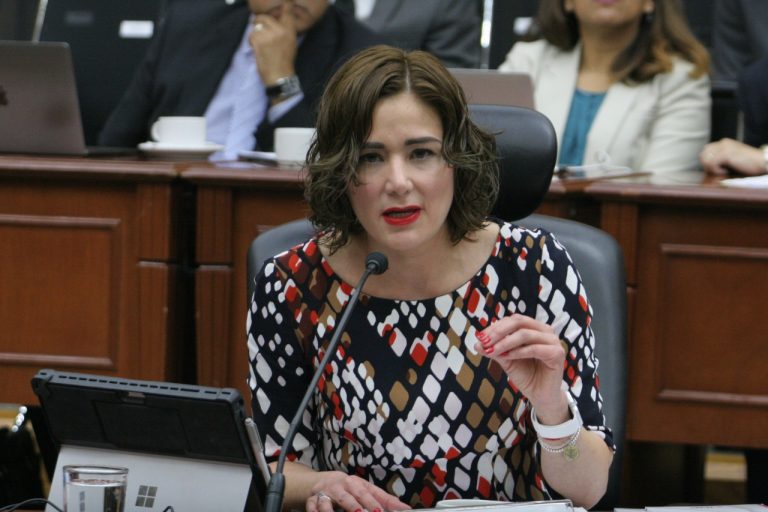 Dania Ravel cuevas, Consejera Electoral.