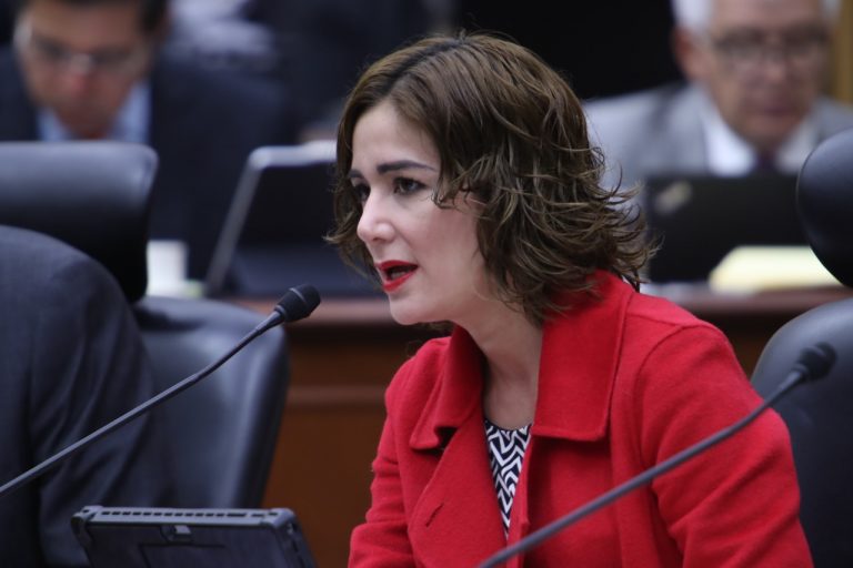 Dania Ravel Cuevas, Consejera Electoral.