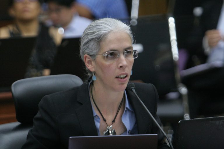 Pamela San Martín Ríos y Valles, Consejera Electoral.