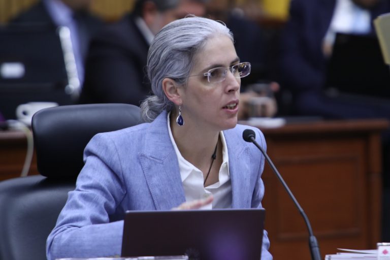 Pamela San Martín Ríos y Valles, Consejera Electoral.