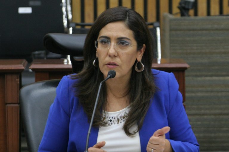 Claudia Zavala Pérez, Consejera Electoral.