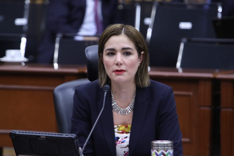 Dania Ravel Cuevas, Consejera Electoral.