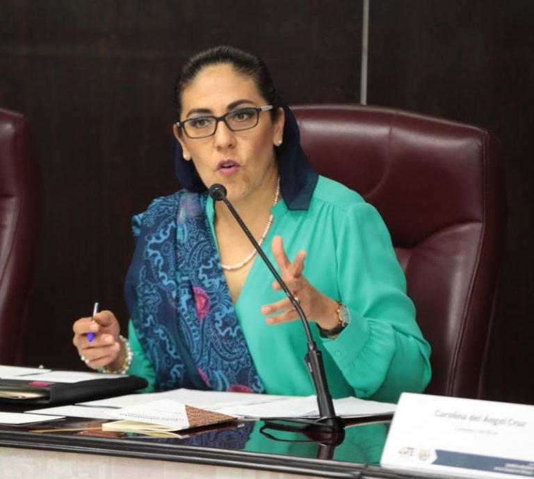 Claudia Zavala Pérez, Consejera Electoral del INE.