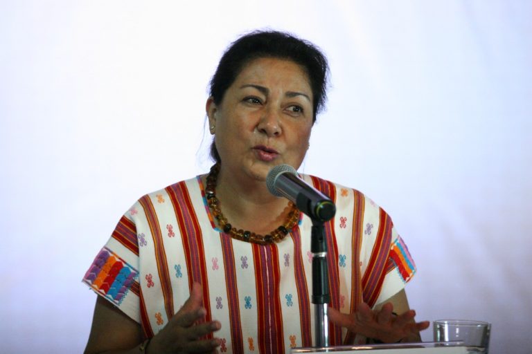Bertha Rosas Baruch, Defensora de los derechos de los pueblos y comunidades indígenas