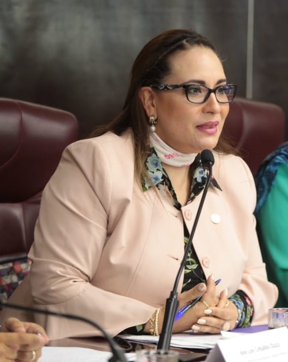 María del Carmen Carreón Castro, Magistrada en la Sala Regional Especializada del Tribunal Electoral del Poder Judicial de la Federación