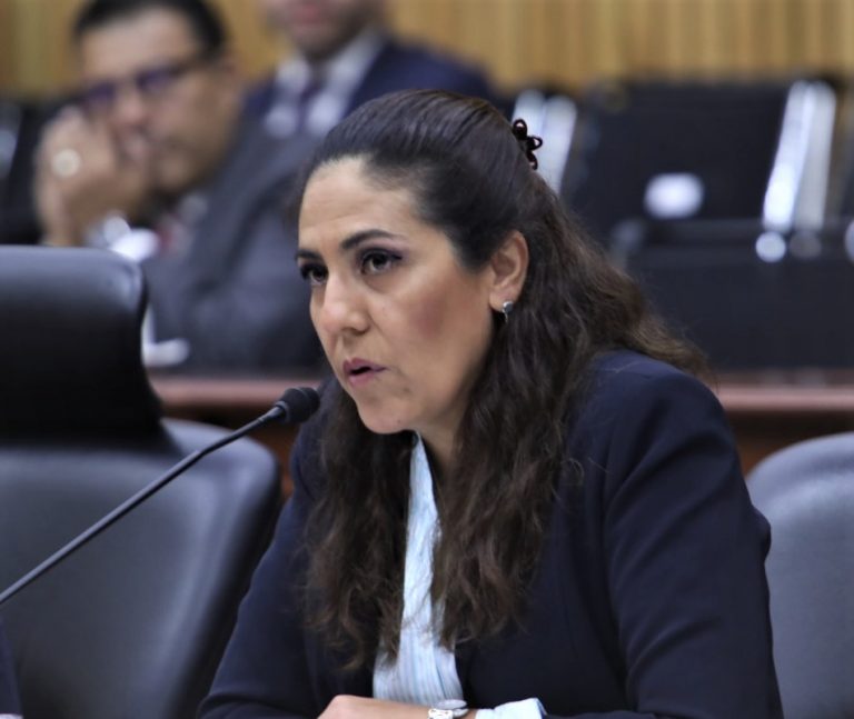Claudia Zavala Pérez, Consejera Electoral.