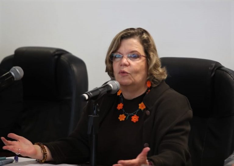 Nadine Gasman Zylbermann Presidenta del INMUJERES