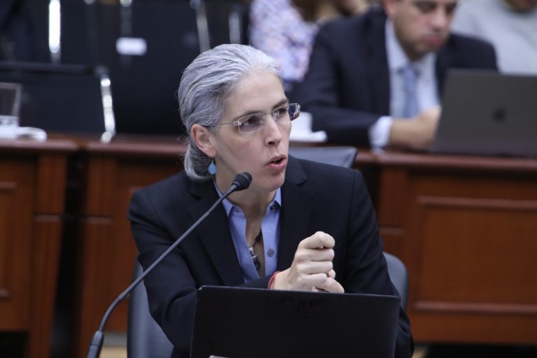 Pamela San Martín Ríos y Valles, Consejera Electoral.