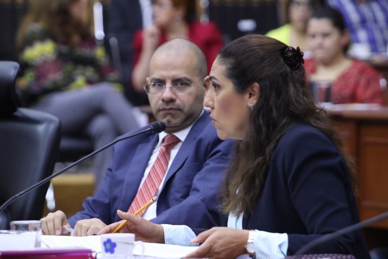 Roberto Ruíz Saldaña y Claudia Zavala Pérez Consejera y Consejero Electorales.