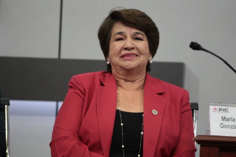 María Libier Gonzalez Anaya, Cámara de diputados.