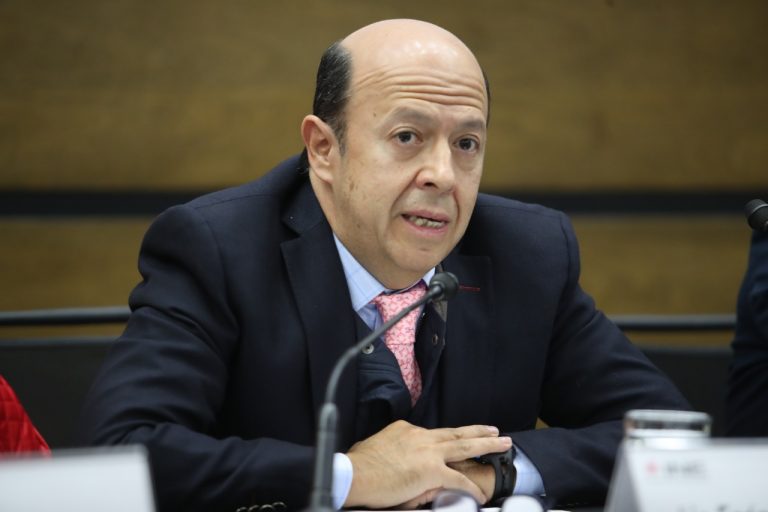 Enrique Andrade González, Consejero Electoral.