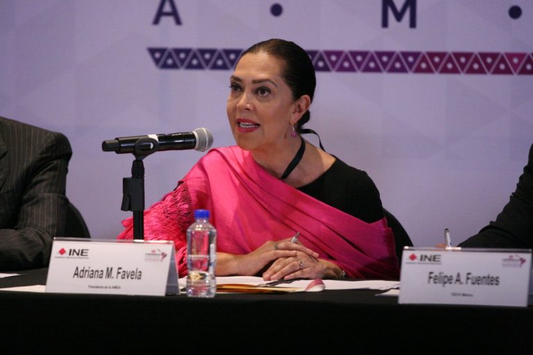 Adriana Favela Herrera, Consejera Electoral del INE.