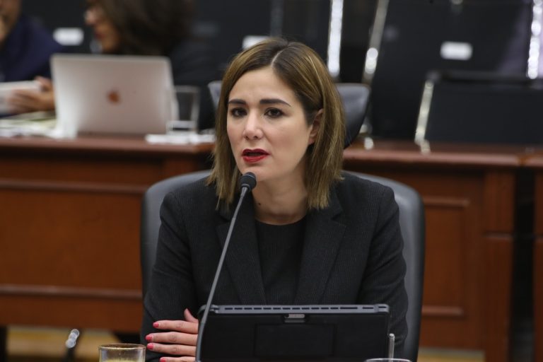 Dania Ravel Cuevas, Consejera Electoral.