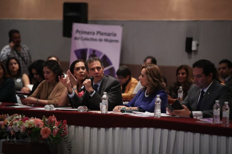 Plenaria del Colectivo de Mujeres 50 + 1