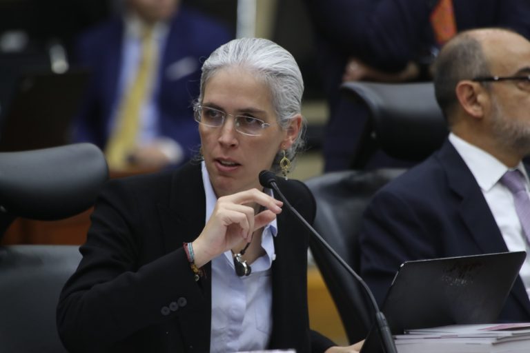 Pamela San Martín Ríos y Valles, Consejera Electoral.