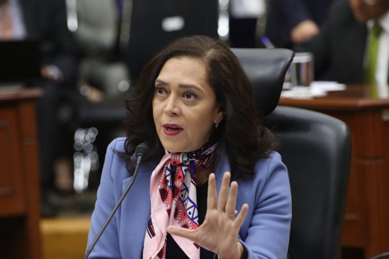 Consejera Electoral Adriana Favela