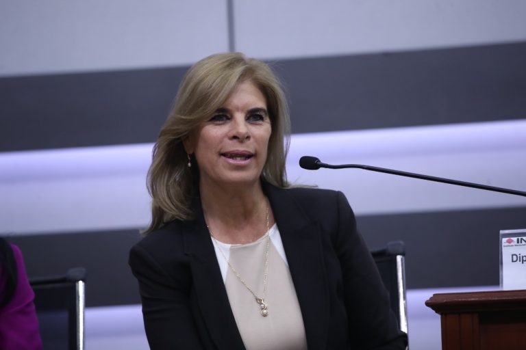 Marcela Torres, Diputada Federal.