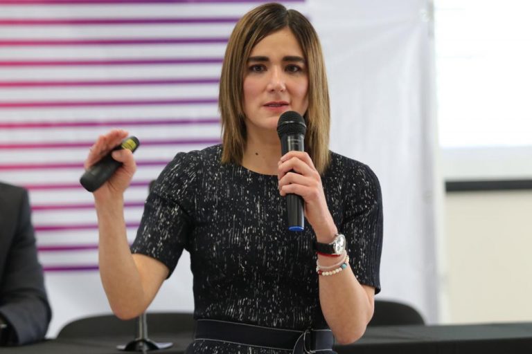 Dania Ravel Cuevas, Consejera Electoral.