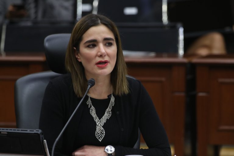 Dania Ravel Cuevas, Consejera Electoral.