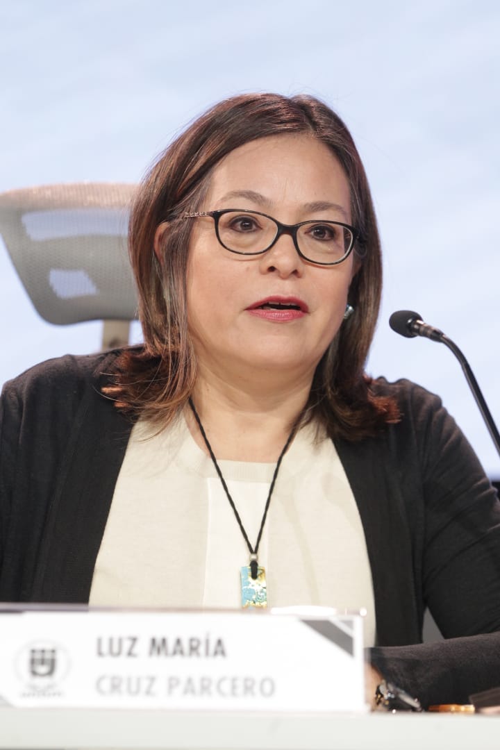 Luz María Parcero, Coordinadora Centro de Estudios Políticos, FCPyS-UNAM.