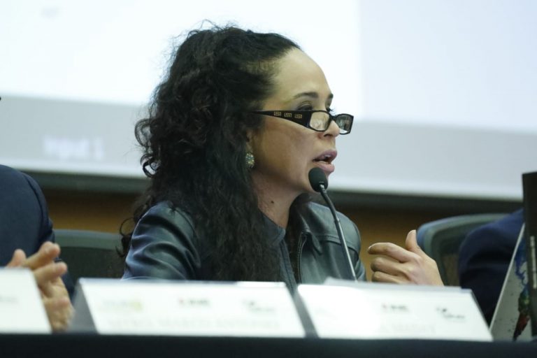 Maday Merino Damian, Presidenta del Instituto Electoral y de Participación Ciudadana de Tabasco.