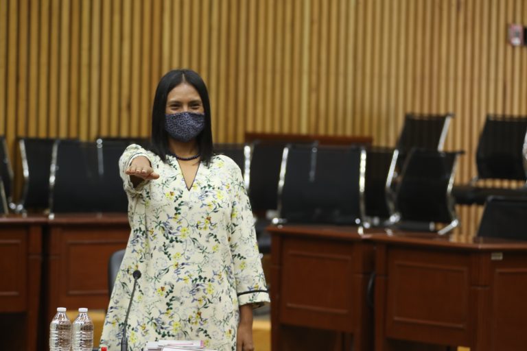 Norma De La Cruz Magaña, Consejera Electoral