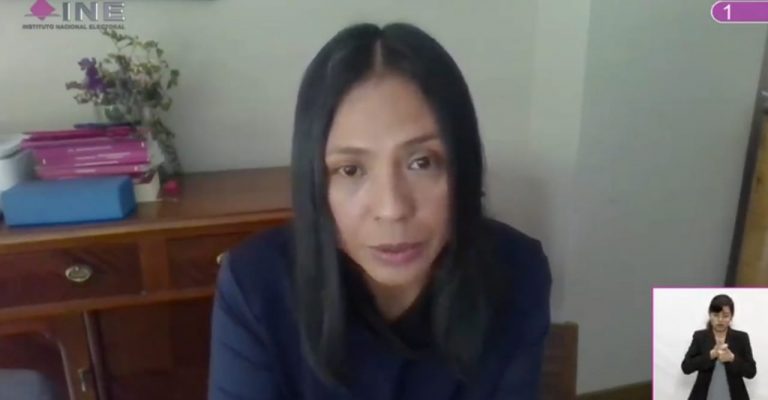 Norma Irene de la Cruz Magaña, Consejera Electoral.